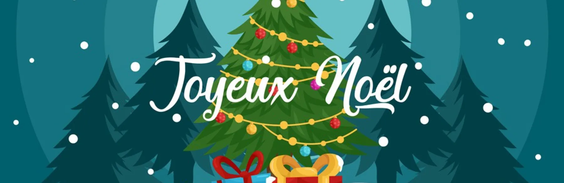 Bulletin d'information N°15