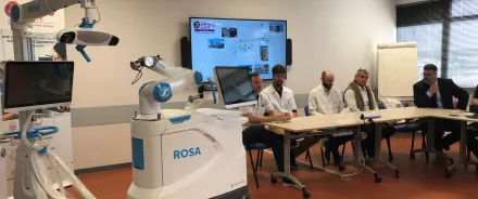 Rosa Knee