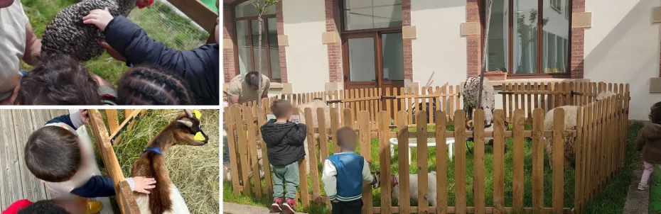 La ferme de Justin vient à la crèche
